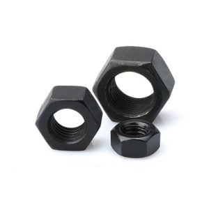 Heavy Hex Nut (5)